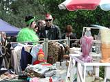 The Fifties Fair